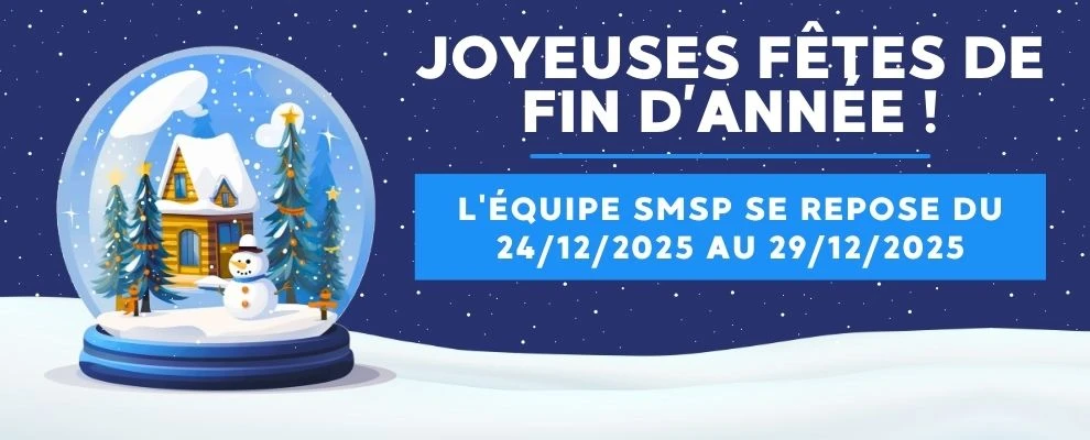 JOYEUSES FETES !