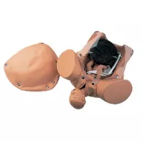 Simulateur anatomique d'accouchement - Bassin femme avec bébé