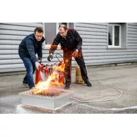 Générateur de flammes écologique Leader GF42
