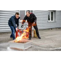 Générateur de flammes écologique Leader GF42