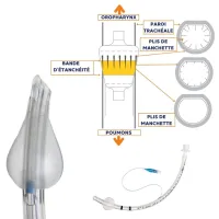 sonde endotrachéale avec ballonnet