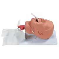 Simulateur d'intubation - Mannequin tête taille adulte