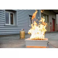 Générateur de flammes écologique Leader GF42