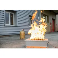Générateur de flammes écologique Leader GF42