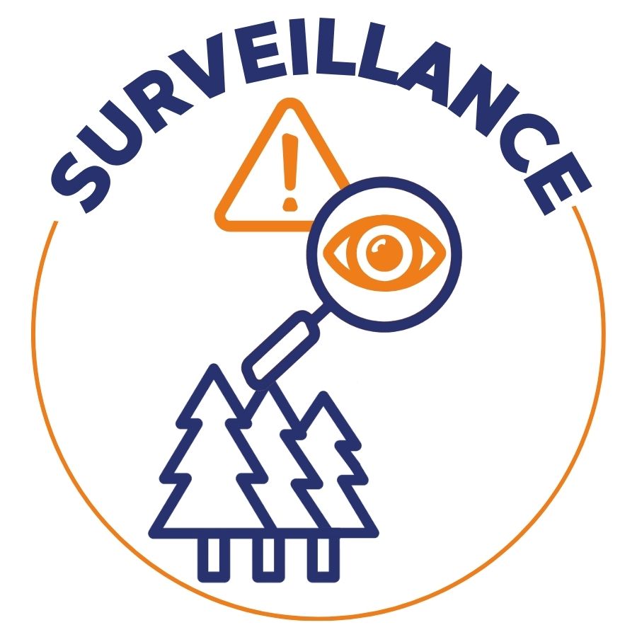 surveillance feu de forêt