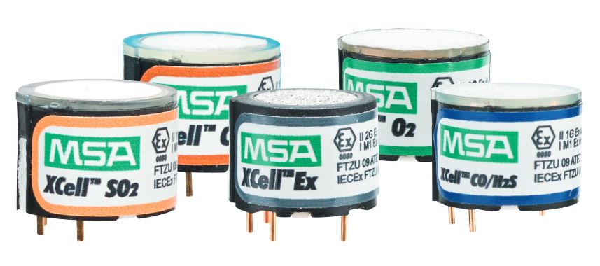 Cellules MSA XCell®